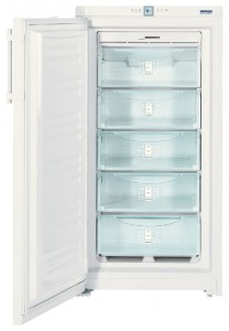 larawan Refrigerator Liebherr GNP 2666
