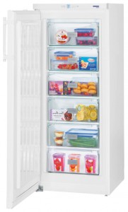 larawan Refrigerator Liebherr GP 2433