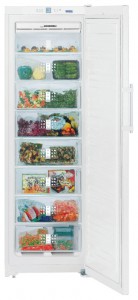 larawan Refrigerator Liebherr SGN 3010