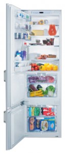 larawan Refrigerator V-ZUG KCi-r