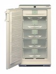 Liebherr GSN 2023 Холодильник