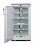 Liebherr GSP 2226 Tủ lạnh