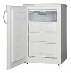 Snaige F100-1101АА Kühlschrank