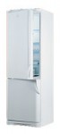 Indesit C 138 NF Tủ lạnh