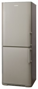 larawan Refrigerator Бирюса M133 KLA