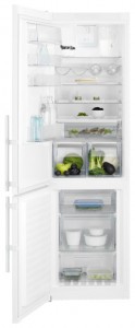 larawan Refrigerator Electrolux EN 93852 JW