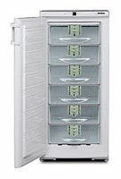 larawan Refrigerator Liebherr GSP 2726