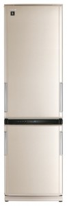 фото Холодильник Sharp SJ-WP371TBE