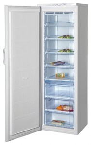 larawan Refrigerator BEKO FN 129920