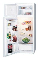 фото Холодильник Ока 215
