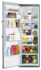 фото Холодильник Samsung RR-92 EESL