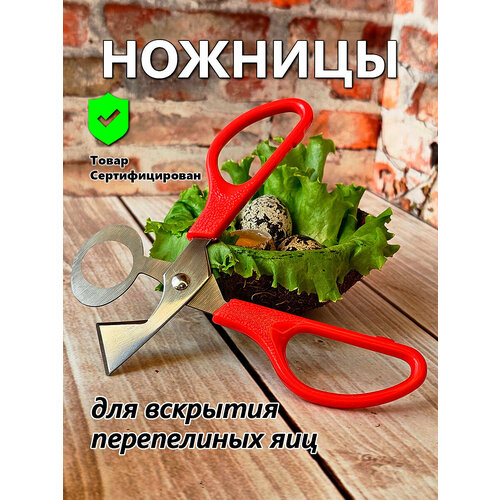 Ножницы для вскрытия перепелиных яиц IFedo (красные) для кухни фотография