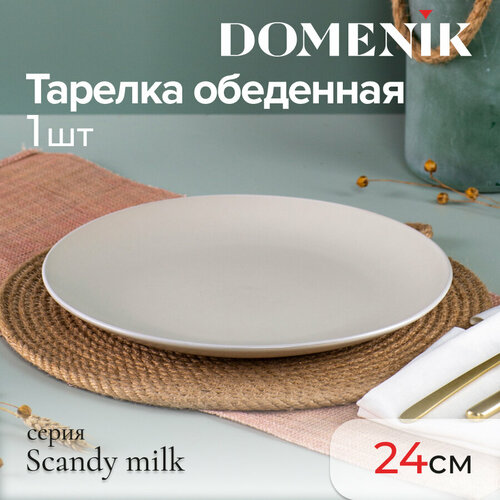 Тарелка обеденная Domenik SCANDY MILK 24см фотография