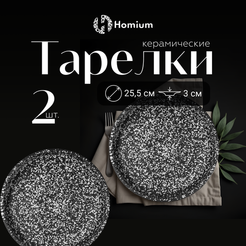 фотография Набор сервировочных тарелок Homium Graphite, 2шт, D26см, цвет серый, купить за 1890 р