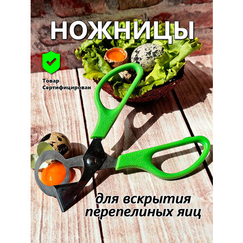 Ножницы для вскрытия перепелиных яиц IFedo (зеленые) для кухни фотография