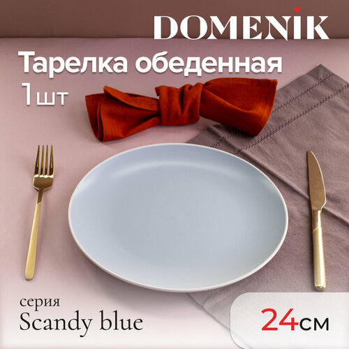 Тарелка обеденная Domenik SCANDY BLUE 24см фотография