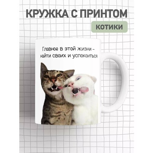 Кружка для любимых с милым принтом Котята 14 февраля фотография